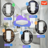 Smart Termostatventil med WiFi – Styrning av Radiator och Element via App