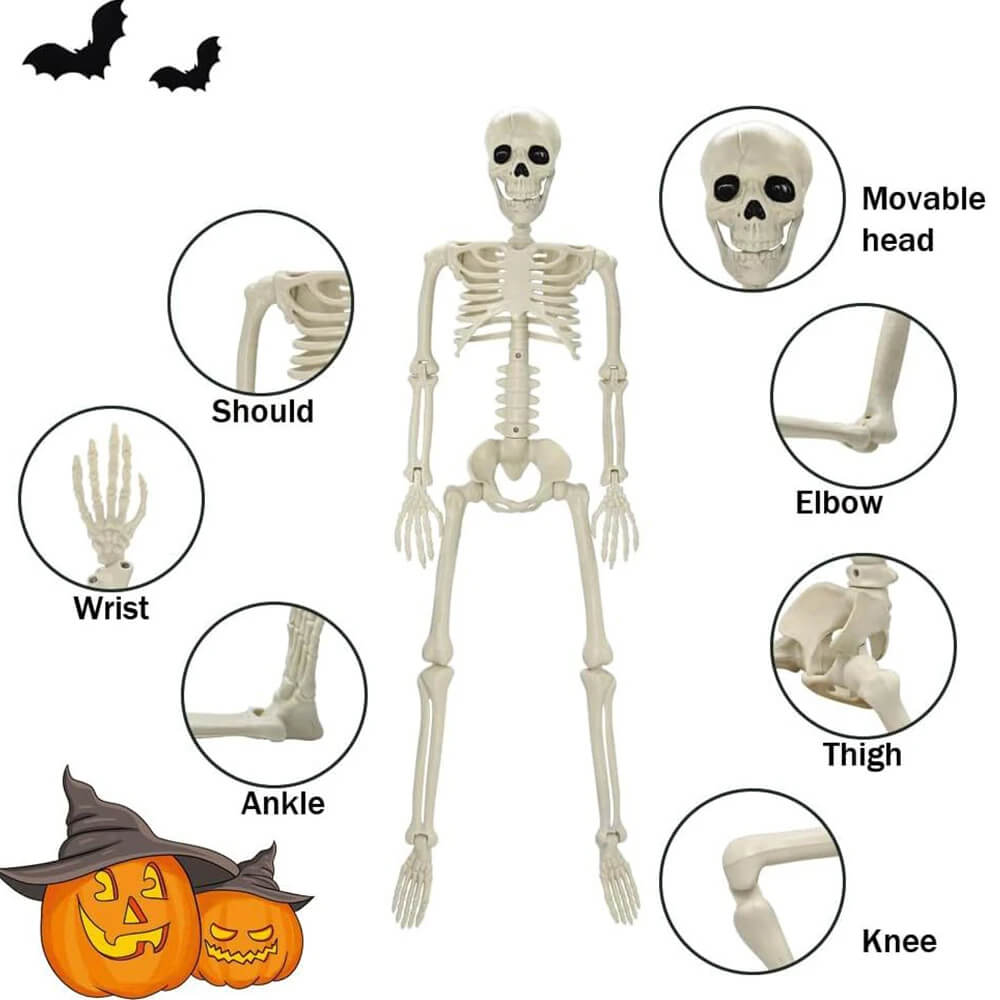 Halloween Dekoration: Människoskelett 40 cm – Realistiskt Skelett för Skrämmande Dekor